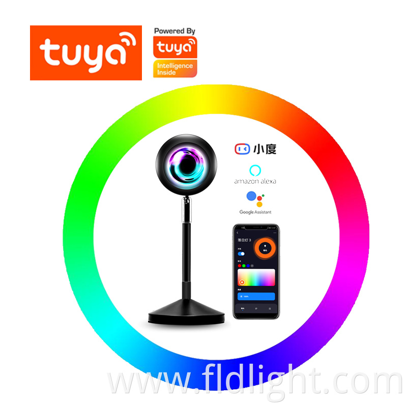 Atmosphere Lights Tuya smart life Remote Control 16 Colors 